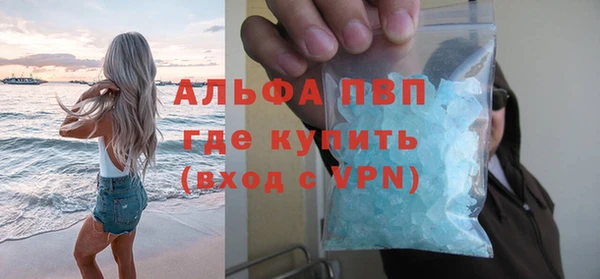 гидра Верхний Тагил