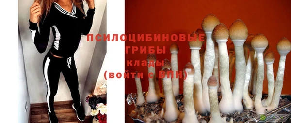 гидра Верхний Тагил