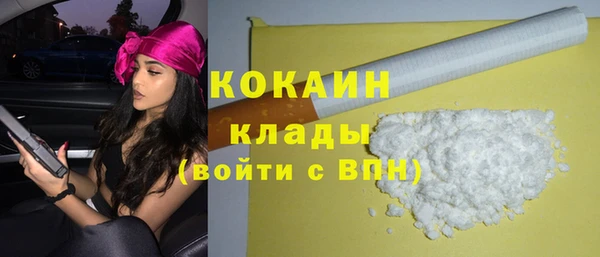 гидра Верхний Тагил