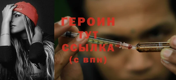 гидра Верхний Тагил