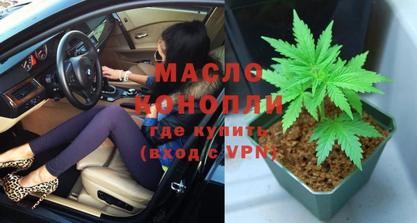 гидра Верхний Тагил