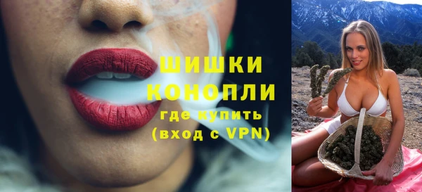 гидра Верхний Тагил