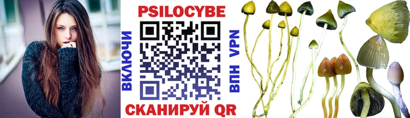 ссылка на мегу tor  Карталы  Галлюциногенные грибы Psilocybine cubensis  где купить наркоту 